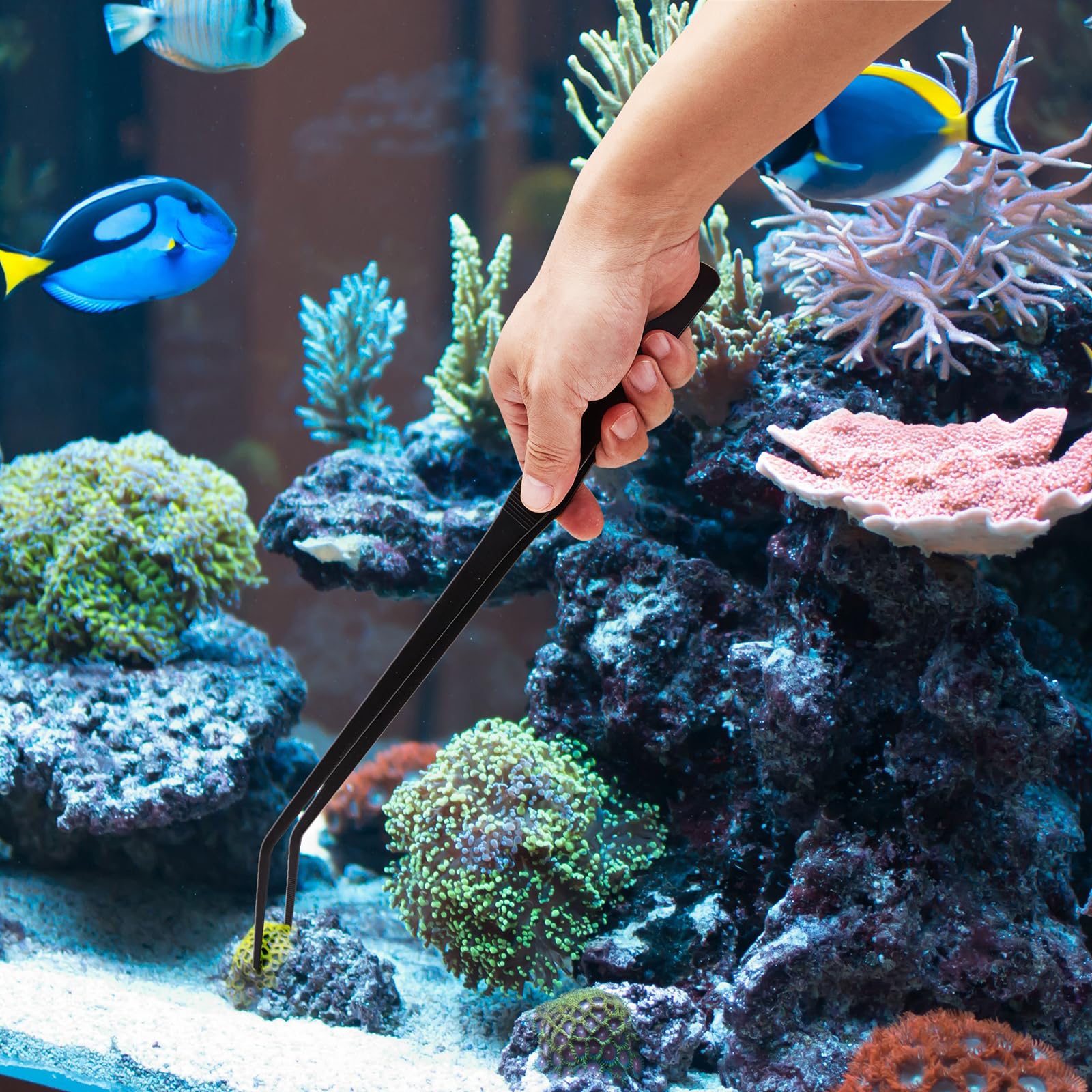 WHYCNJL 2x 30cm Aquarium Pinzetten - Edelstahl, Gerade & Gebogen Für Wasserpflanzen