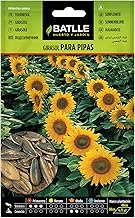 Semillas Batlle Sunflower for pipes