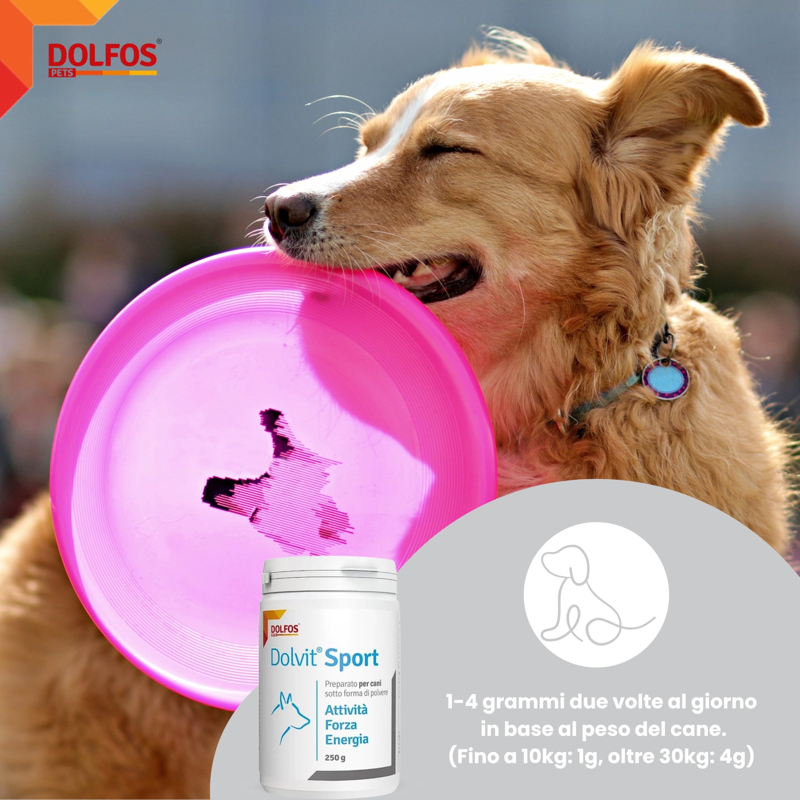 Dolvit Sport Integratore per Cani da Caccia, Sportivi o da Lavoro Multivitaminico - 250 Grammi Polvere - Consigliato per Dog Agility e Cani da soccorso