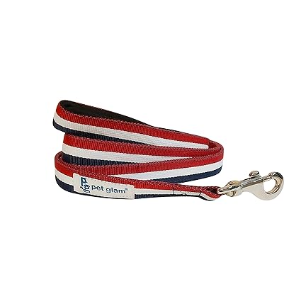 Pet Glam Dog Leash Liberty with Padded Handle- Heavy Duty Hardware Comfortable Fabrics for Dog Walks and Leash Training-5 Ft Long 1 inch Wide