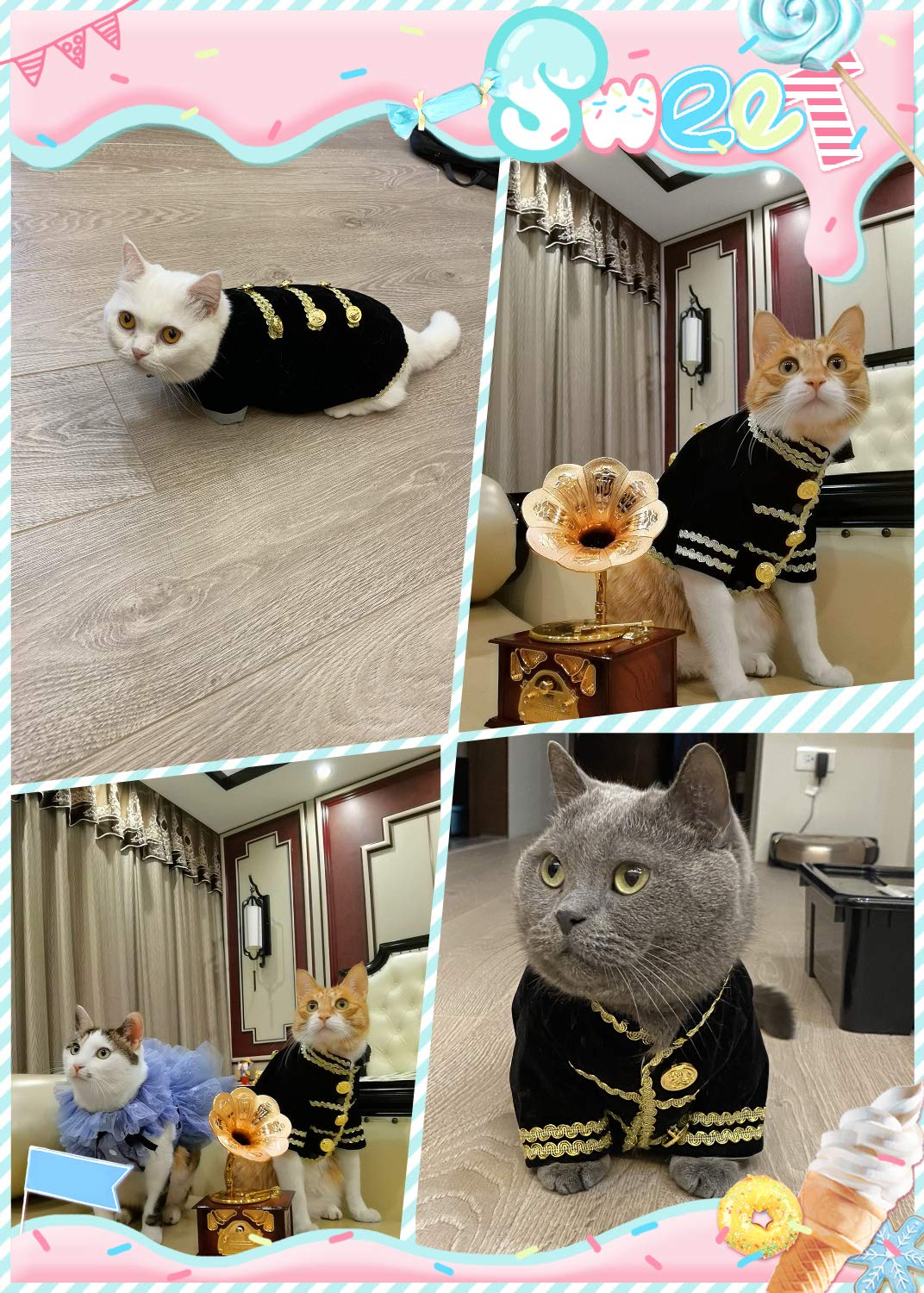 Amazon | PP&DD ペット服 犬服 犬の服 猫犬服 王子風 礼服 王子様