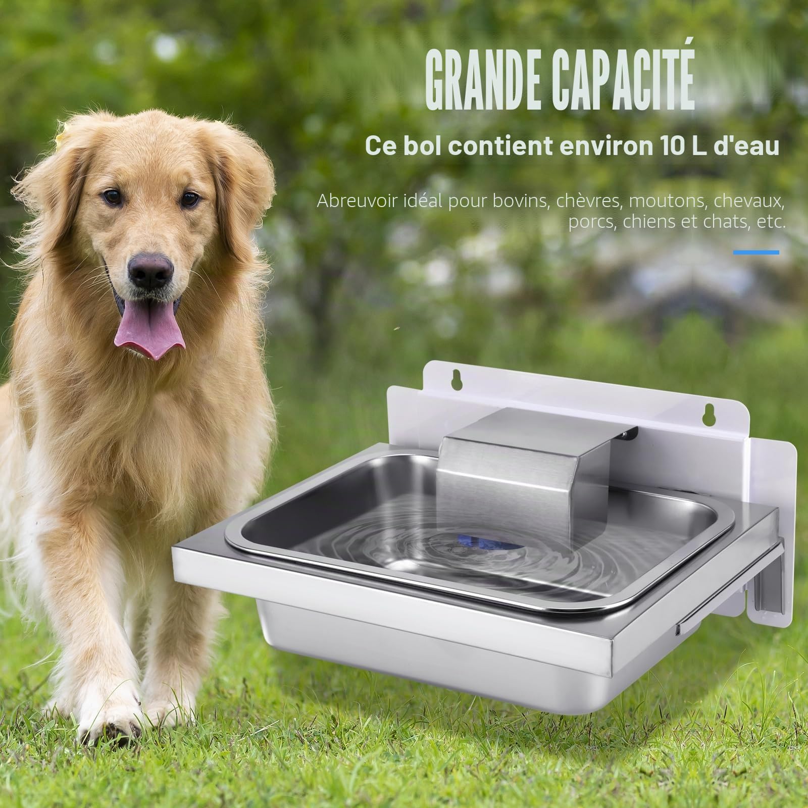 10L Abreuvoir Automatique pour Bovins Abreuvoir en Acier Inoxydable pour Chien avec Valve Flottante et Tuyau Tressé Abreuvoir pour Chevaux Bovins