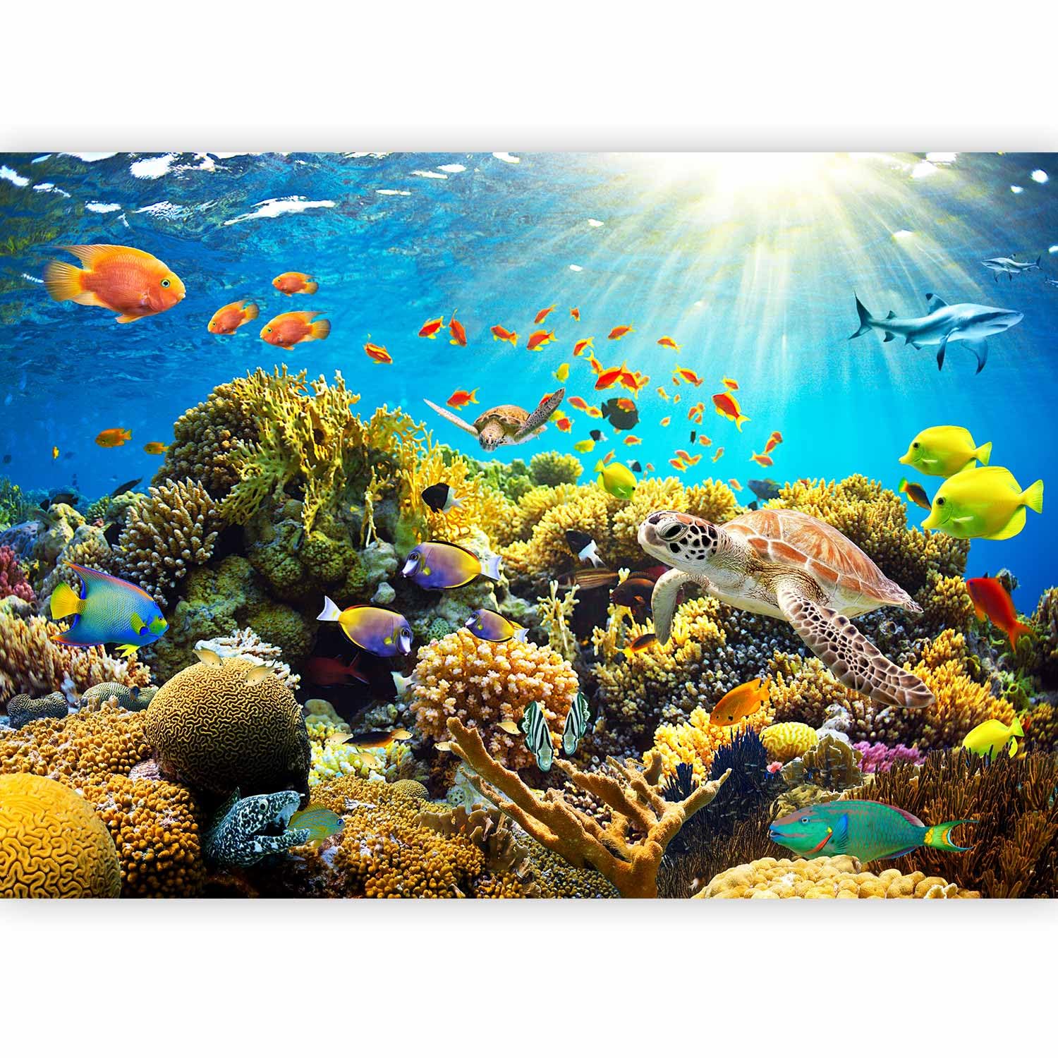 artgeist Wall Mural Underwater World 135x101 in - Peel and Stick Self-Adhesive Wallpaper Removable Large Sticker Foil Wall Decor Print Picture Image Design Island Fish Turtle Sea Ocean b-A-0002-a-a