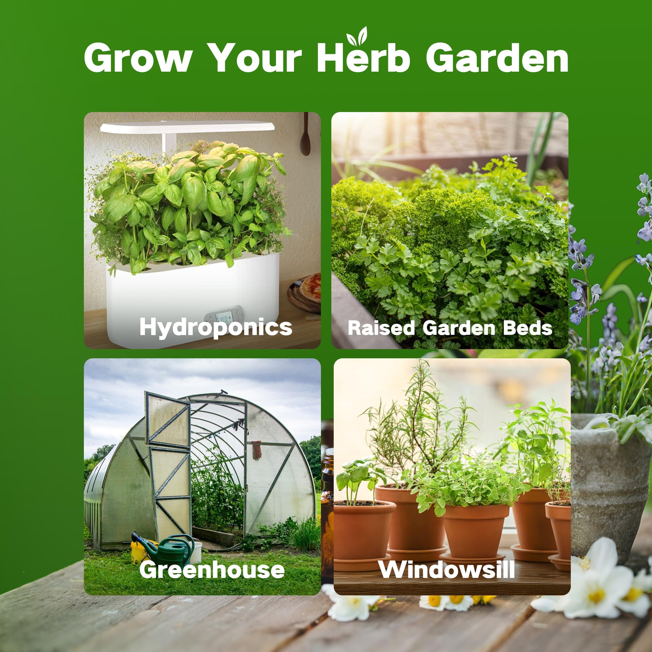 Ancestral Apothecary Herb Seeds - Grow Your Own! -5