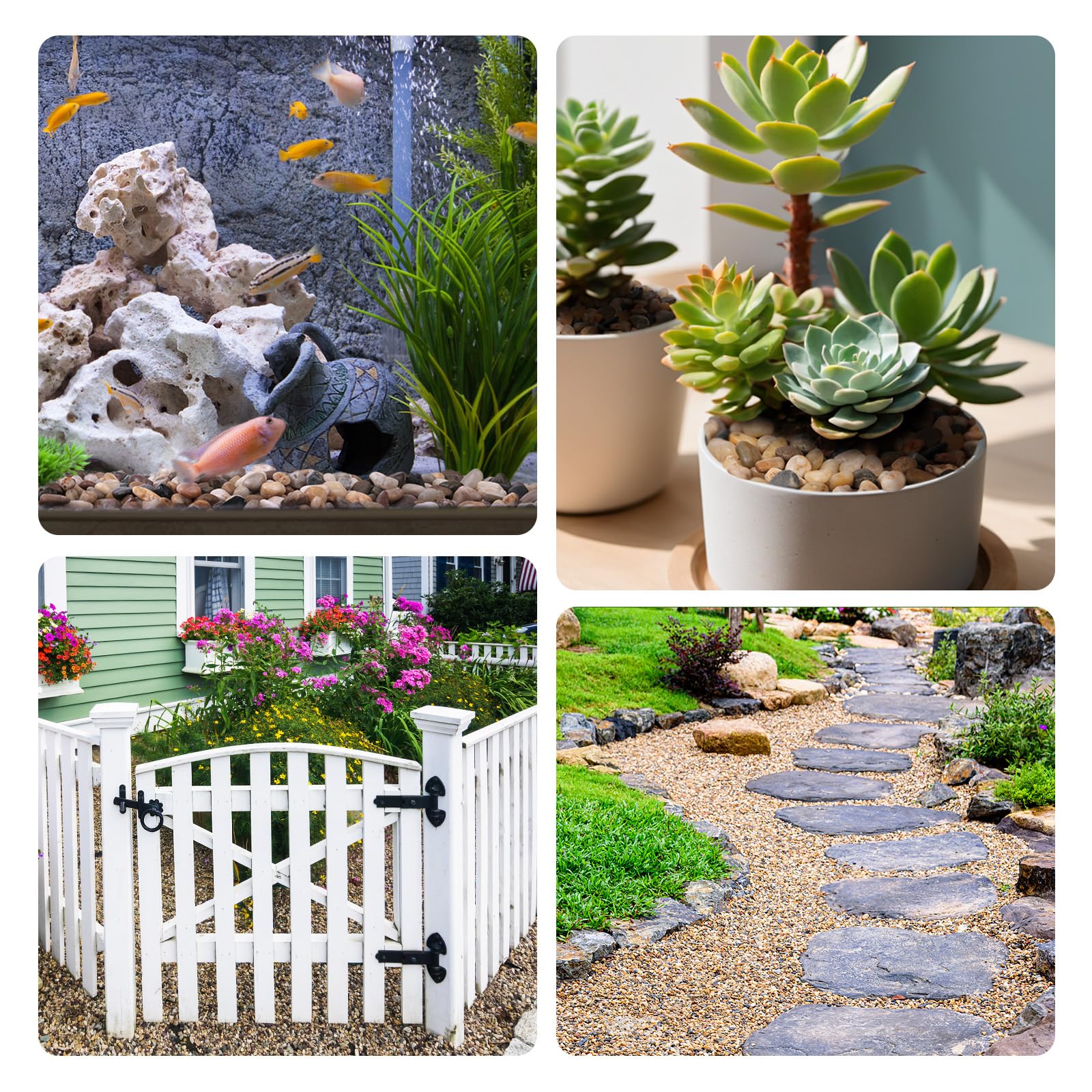 Calofulston Grava de guisante de 5 libras para plantas, guijarros pequeños de 1/5 pulgada para terrario, acuario, pecera, suculentas, jarrones, cactus, colores mixtos