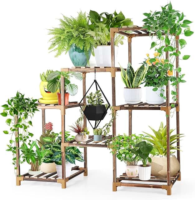 Plant Containers & Accessories