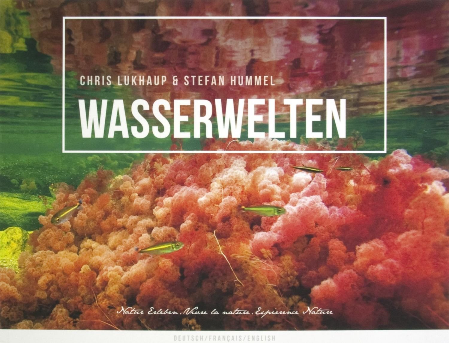 Wasserwelten