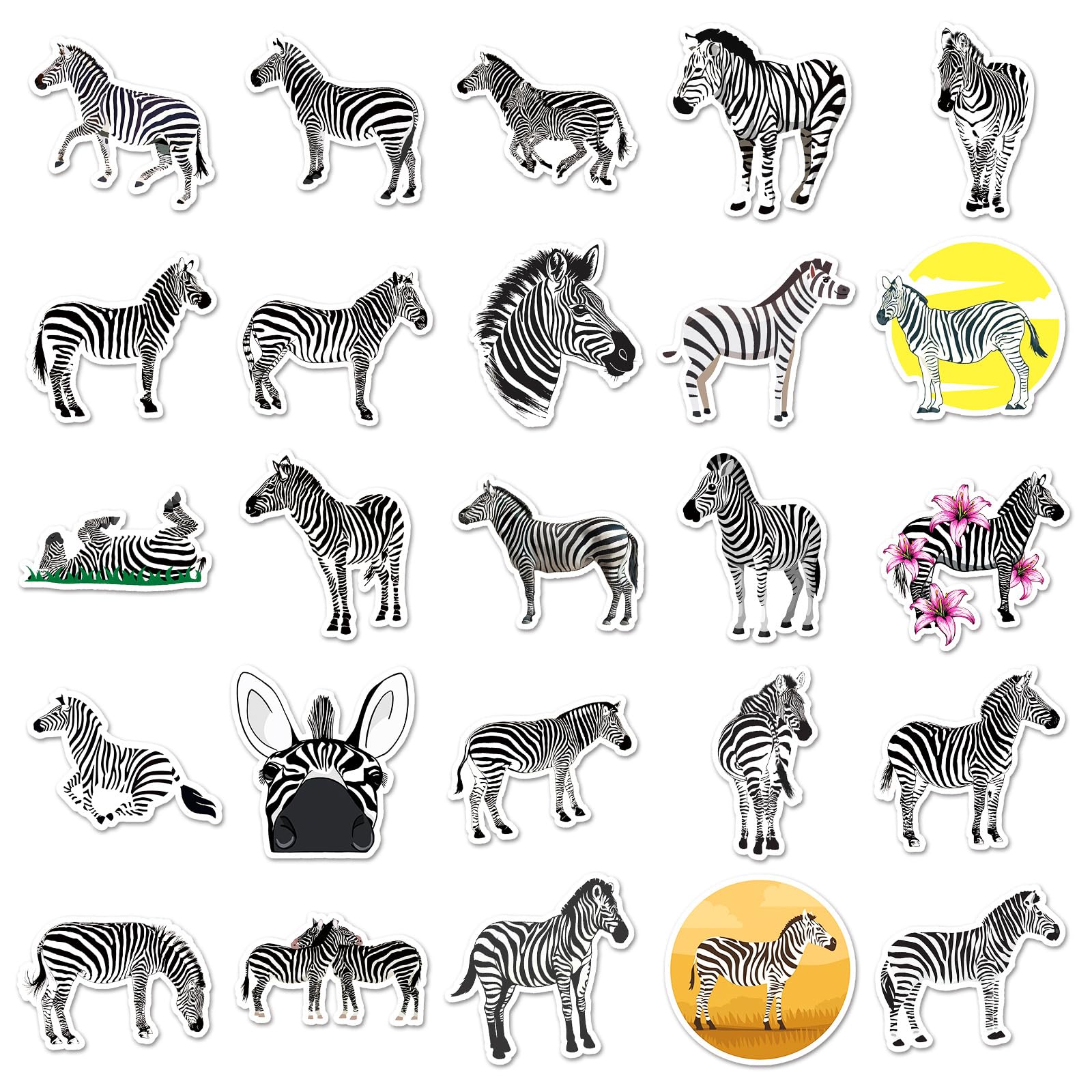 Set 50 Adesivi Medici Impermeabili - Per Laptop, Caschi, Bici E Skateboard, Ideali Per Studenti Medicina - Foto 10