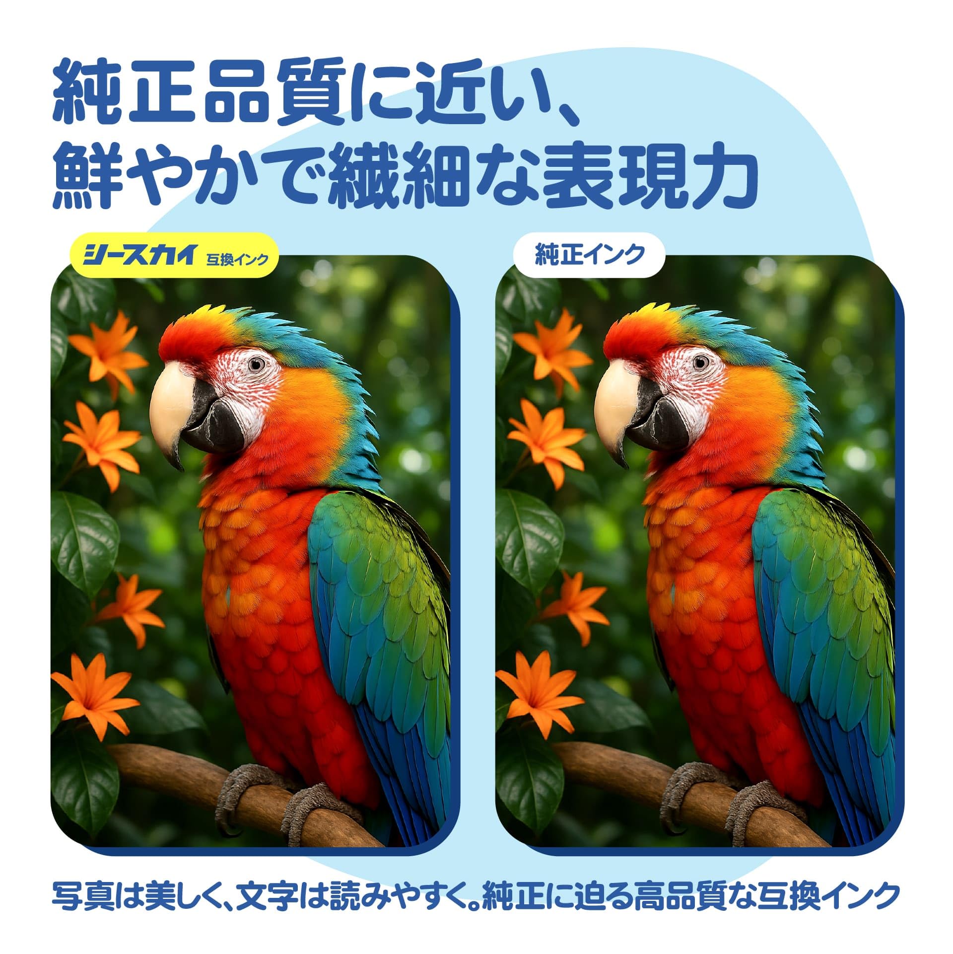 Amazon.co.jp: 【SEASKY】 IP11B 顔料 4色セット 【大容量】 エプソン