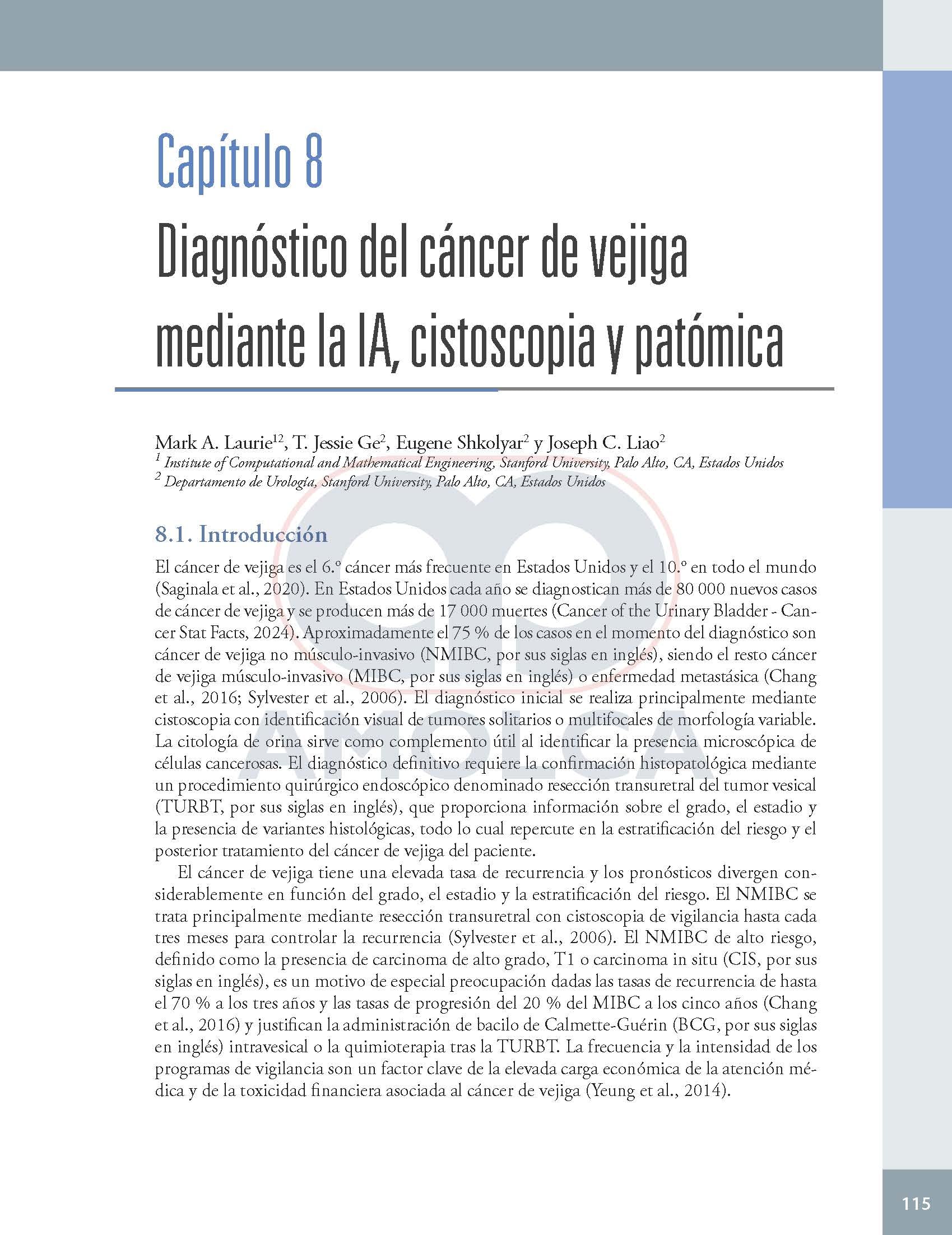 Inteligencia artificial en urologia presente y futuro