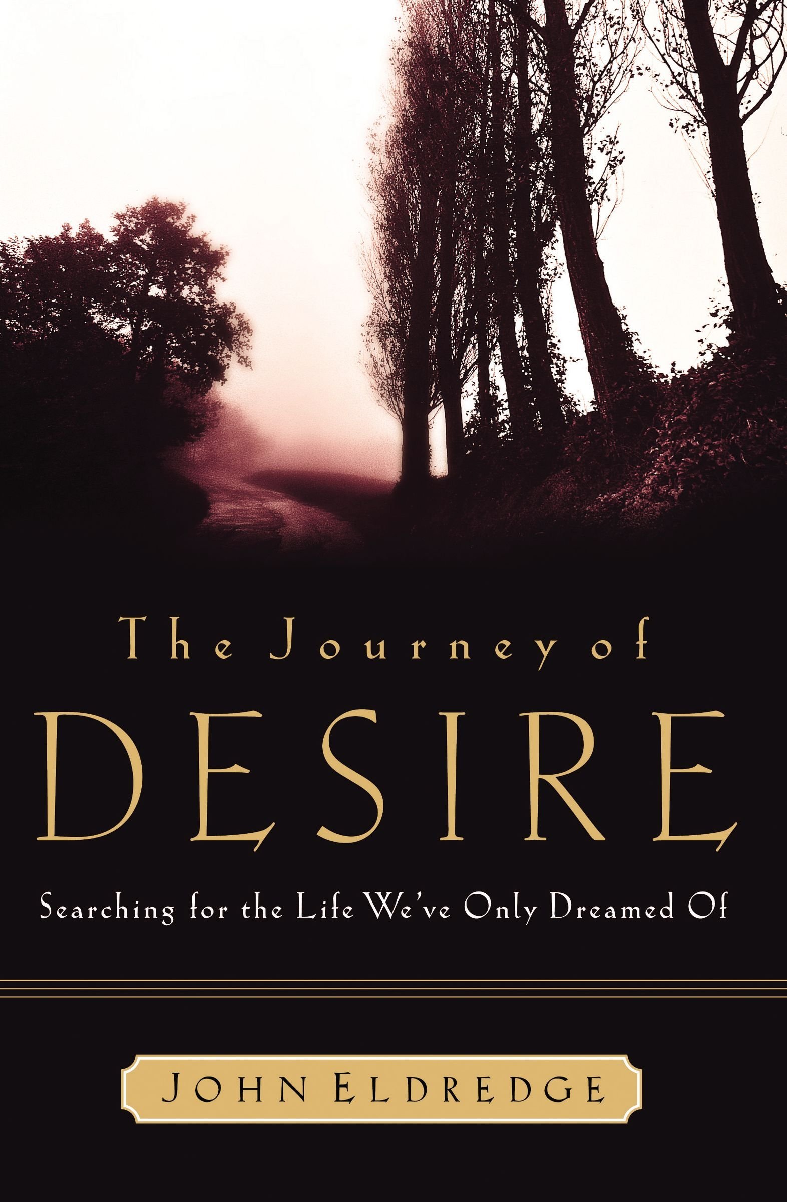 Cover of The Journey of Desire: Searching for the Life We Only Dreamed of