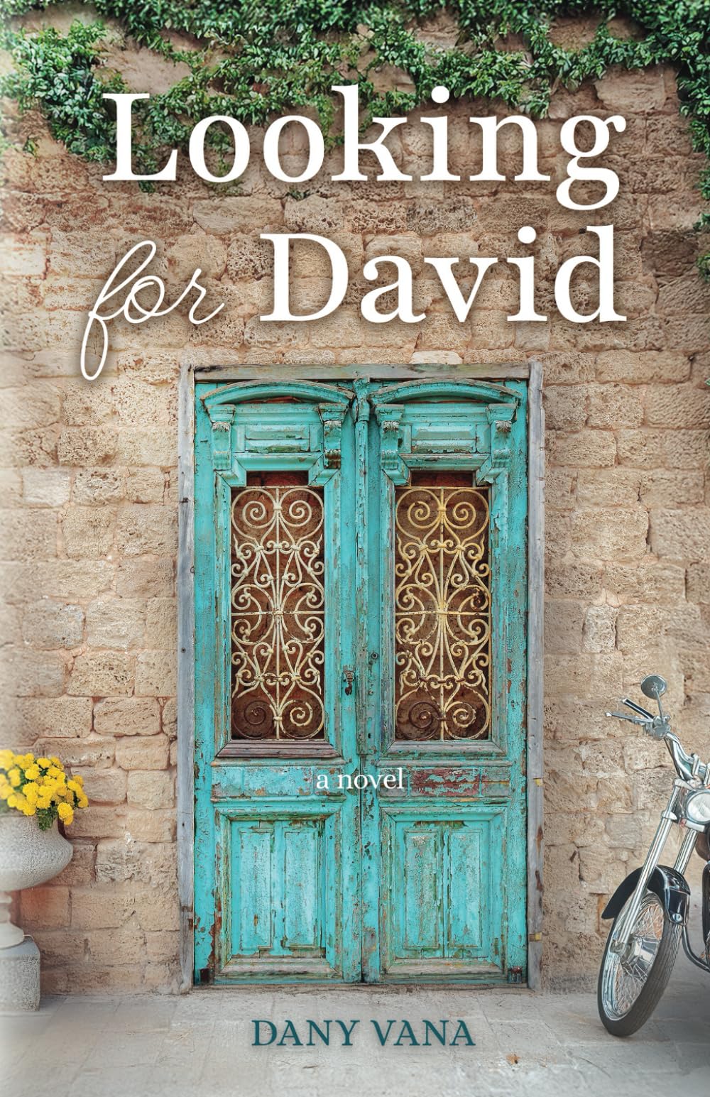 Looking for David: A Novel
