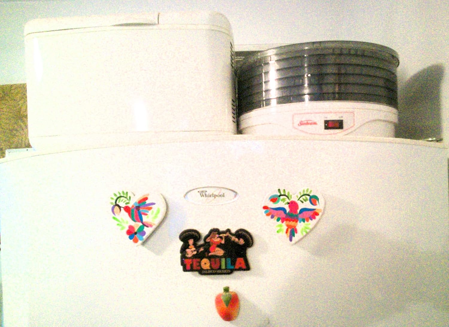 Otomi Native Mexican Handmade Wood Birds Wall Decor, 3 Piece Set - Image 7