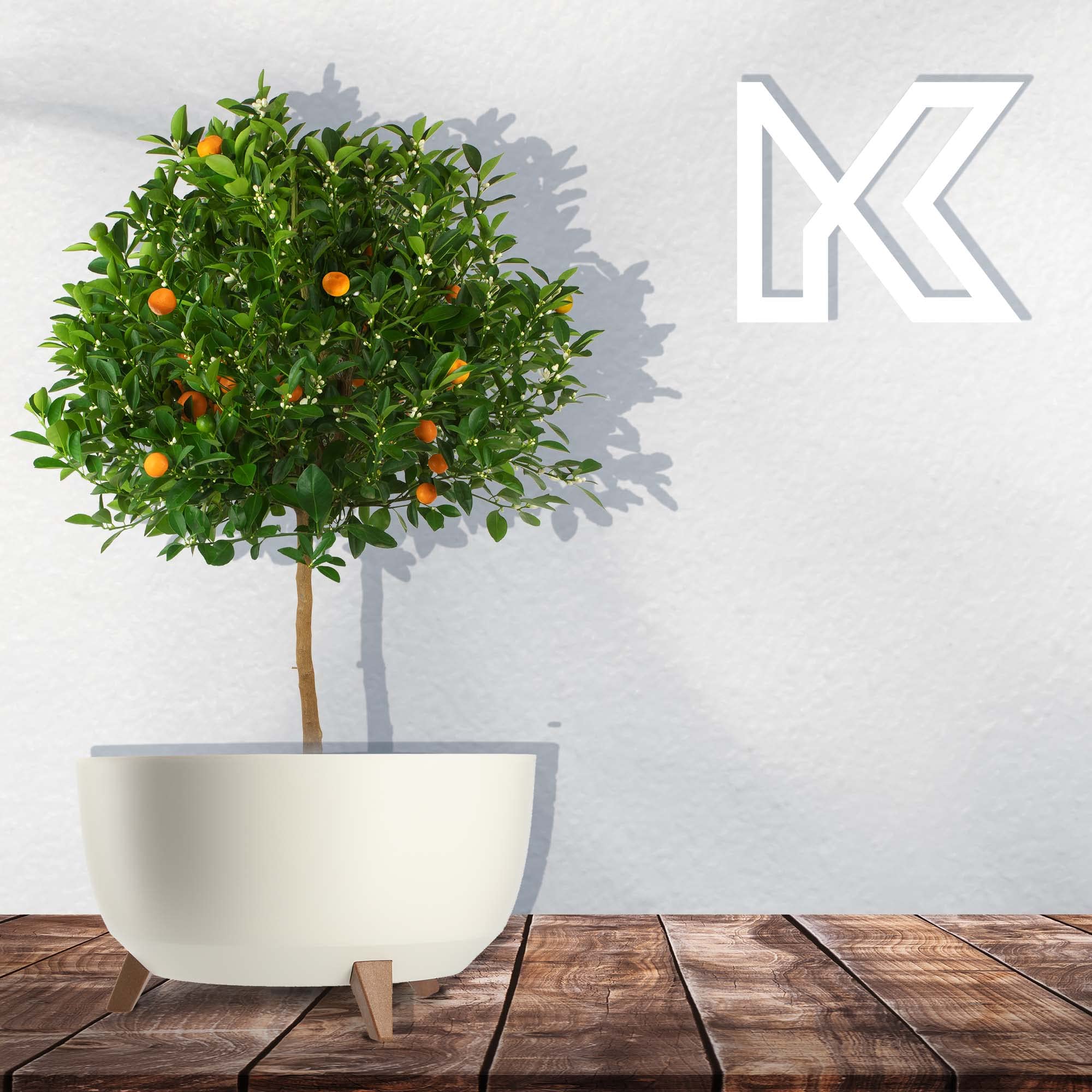 KADAX Vaso Rialzato in Plastica per Piante da Interno ed Esterno, Coprivaso Decorativo con Piedistallo Simil-Legno e Design Moderno (47 cm, Crema)