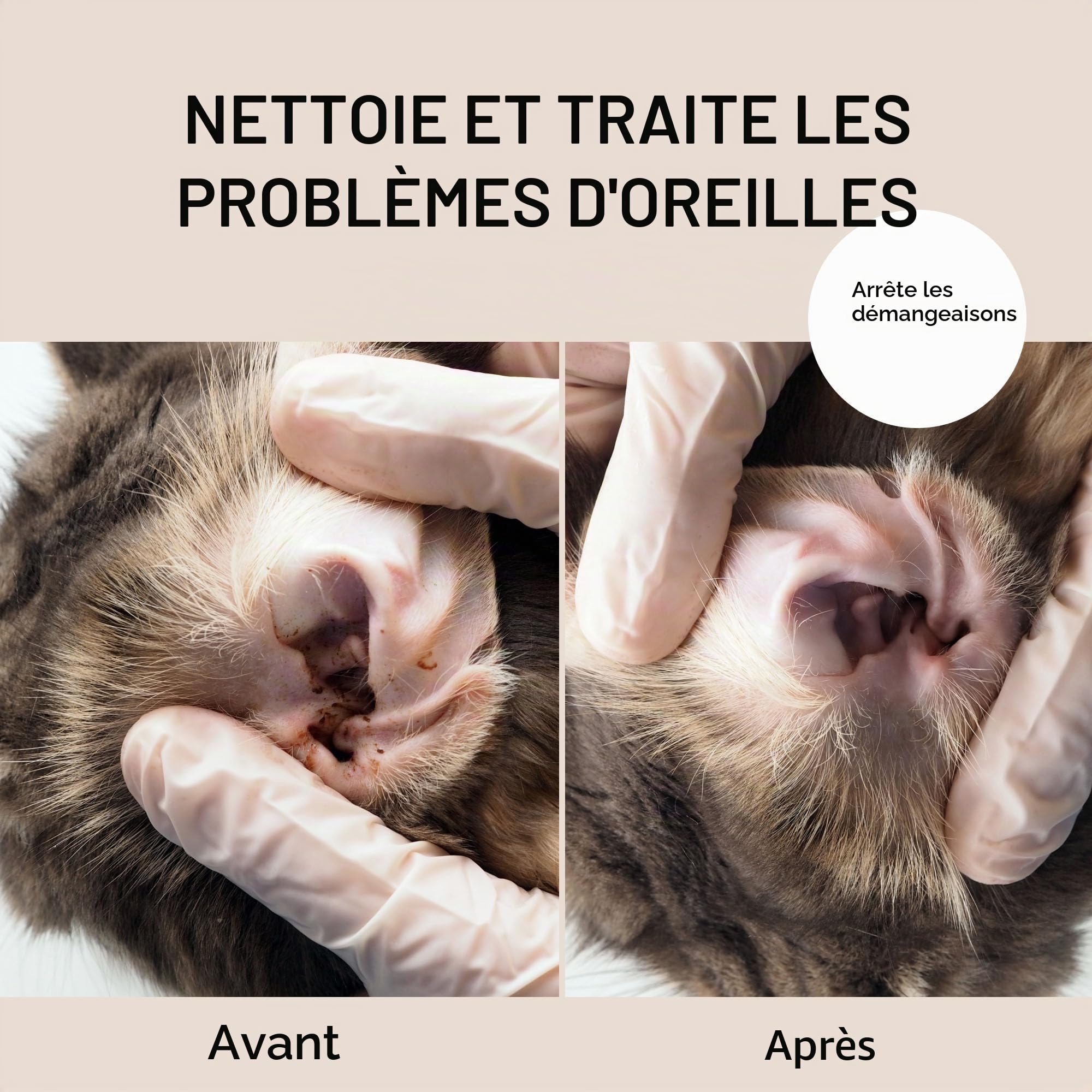 Eye Envy – Lingettes Nettoyantes pour Les Oreilles des Chats, Fabriquées aux États-Unis avec des Ingrédients Naturels, Non Parfumées, Sûres et Non Irritantes, Préviennent Les Infections, 60 Lingettes