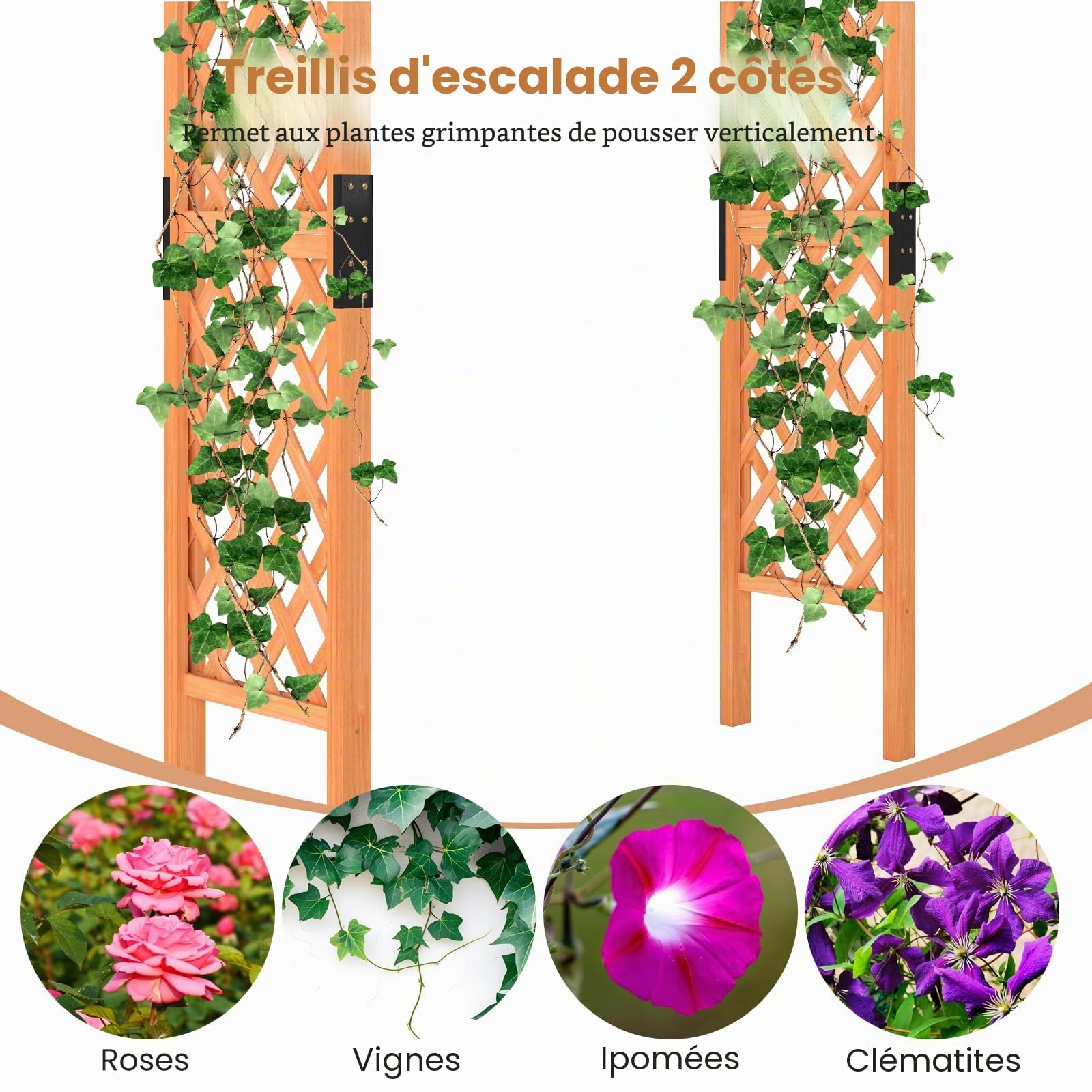 HOMASIS Arche de Jardin en Bois avec Treillis pour Plantes Grimpantes