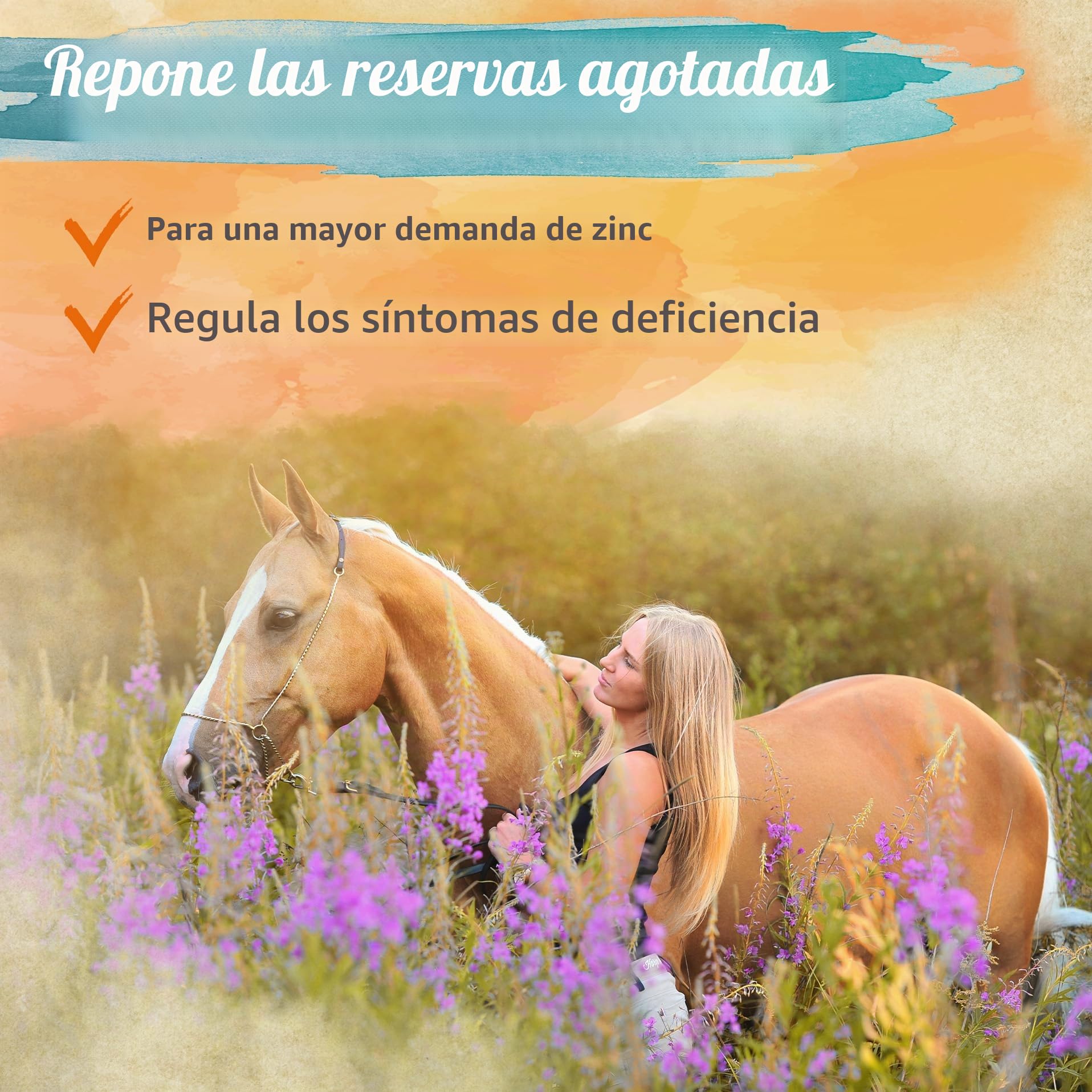 Ida Plus Biotina + zinc para caballos, alta dosis, mejora la calidad de pezuña y el crecimiento de pezuñas, ayuda a la piel, el pelaje y el sistema inmunológico, cambio de pelaje, 750 g