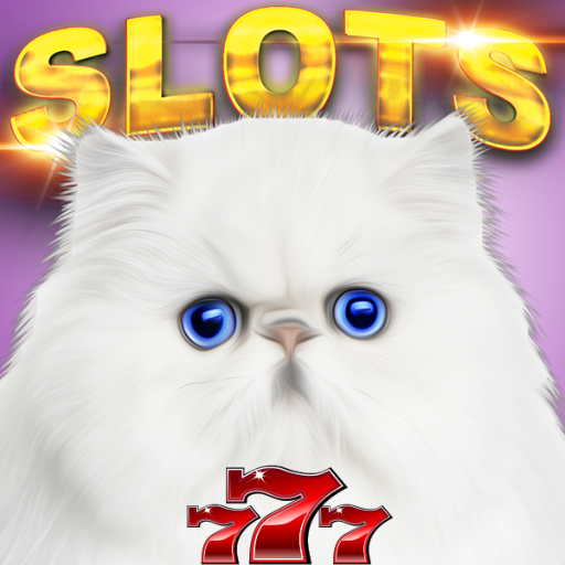 Cat Casino Betting Review for the UK Market