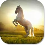 HD Wallpaper Creators