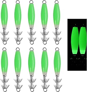 Squid Jig Hooks Luminous Fishing Squid Jigs Lures,10pcs Fluorescent Fishing Squid Cuttlefish Sleeve Jig Lure Octopus Baits Stainless Steel Squid Hooks