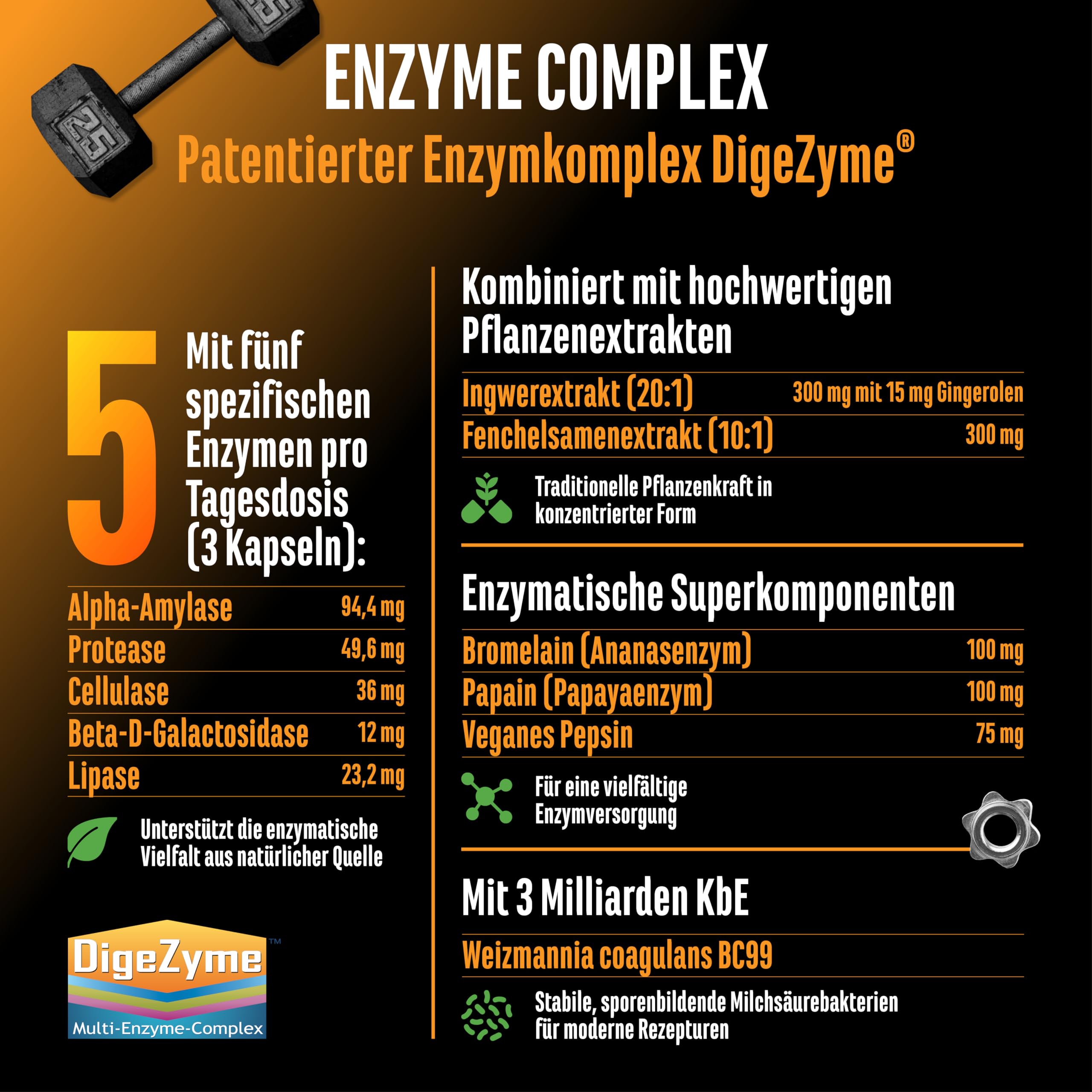 Enzym Komplex - Verdauungsenzyme mit patentierten DigeZyme®, Bromelain, Pepsin, Papain, Pflanzenextrakte & Milchsäurebakterien - Hochdosiert, vegan - 120 Kapseln
