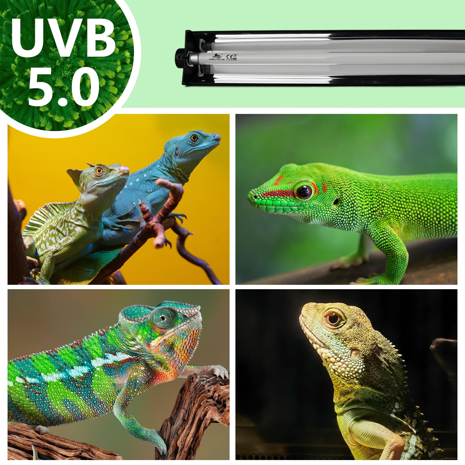 T5 UVB Lighting Combo Kit for Reptiles,8W Light Fixture with Desert 5.0 T5 UVB Light Bulbs Terrarium Hood Heat Lamp for Breaded Dragon,Turtle,Frog,Lizard,Tortoise,Gecko,Snake - image 4
