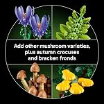 LEGO Botanicals Woodland Mushrooms - Building Set for Adults, Ages 18+ - Mushroom Decor for Home Office or Desk - Gifts for Women & Men - Craft Activity - 11505