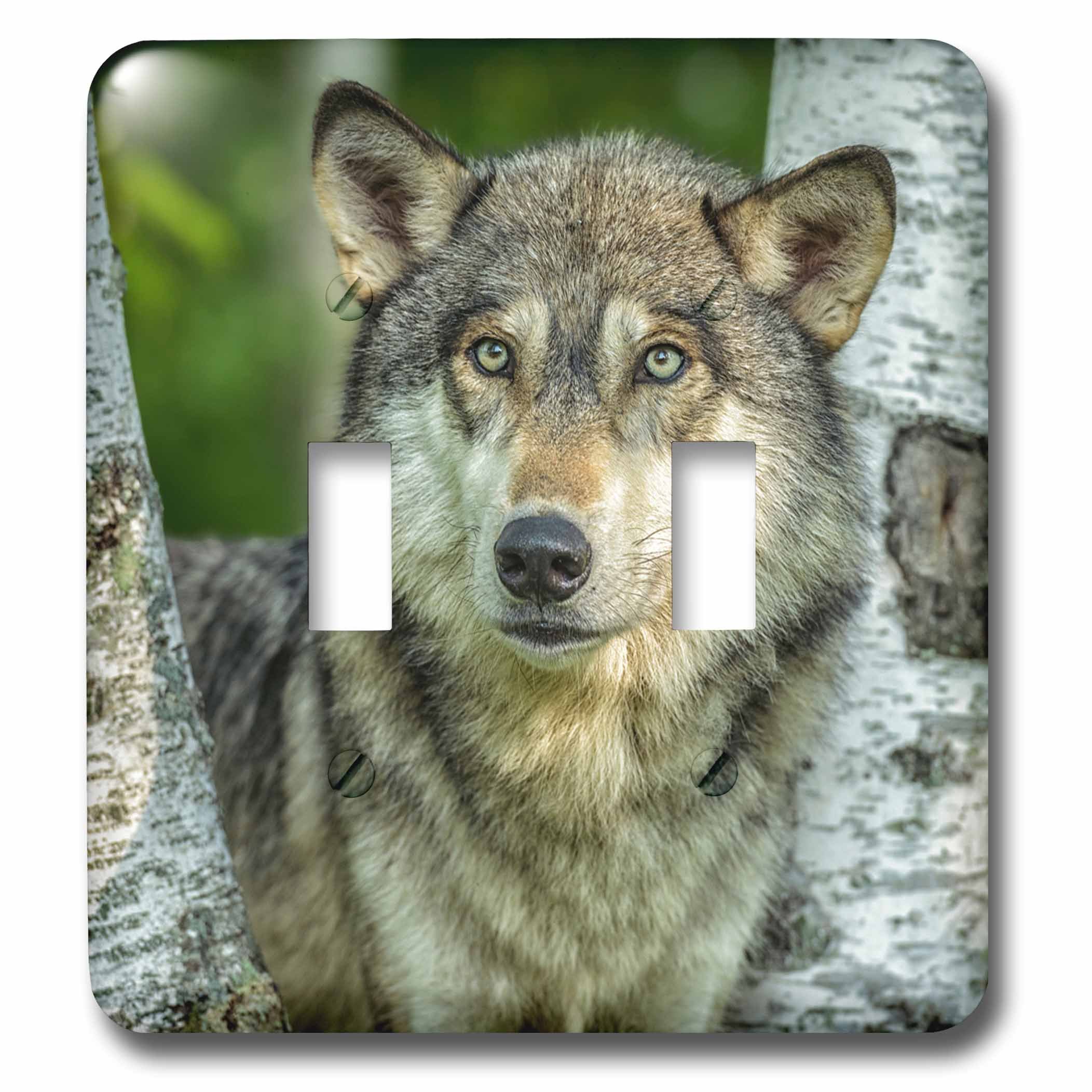 Plaque interrupteur loup gris USA 3dRose lsp_231047_2 impression haute définition