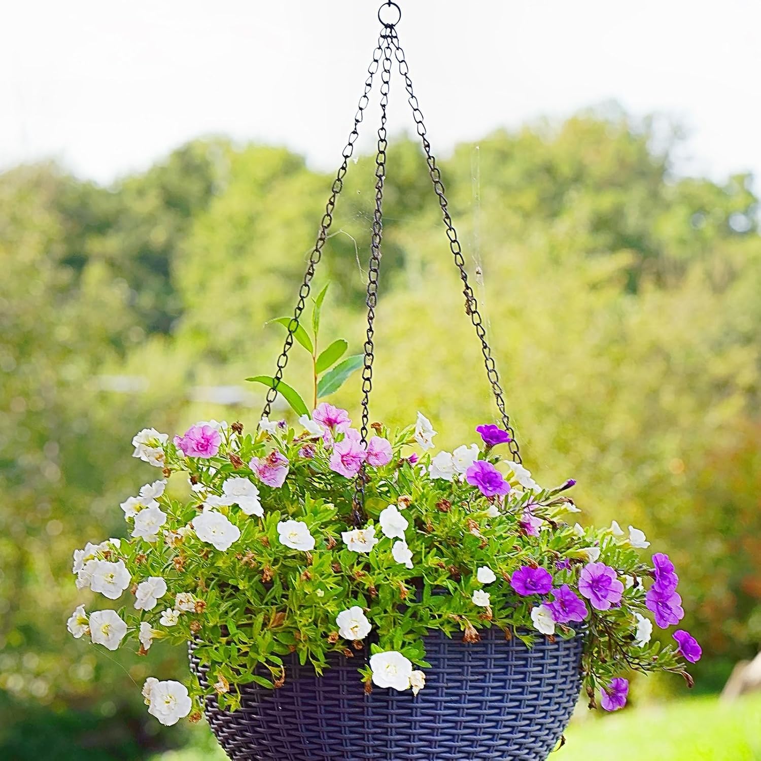 PLULON 15 Pack 10 Inch Hanging Basket Hooks Black Hanging Chains Garden Plant Hanger Chain Clips Outdoor for Flower Baskets, Bird Feeders, Wind Chimes, Lanterns, Ornaments - Image 4