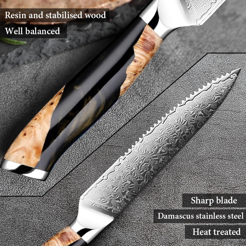 DAXXIN Kitchen Knife Sets, 6 PCS Damascus Steak Knife Set 67 Layer Japanese VG10 Steel Razor Sharp Serrated Blades Black Resin&Natural Wood Pattern Handles, jiang198184