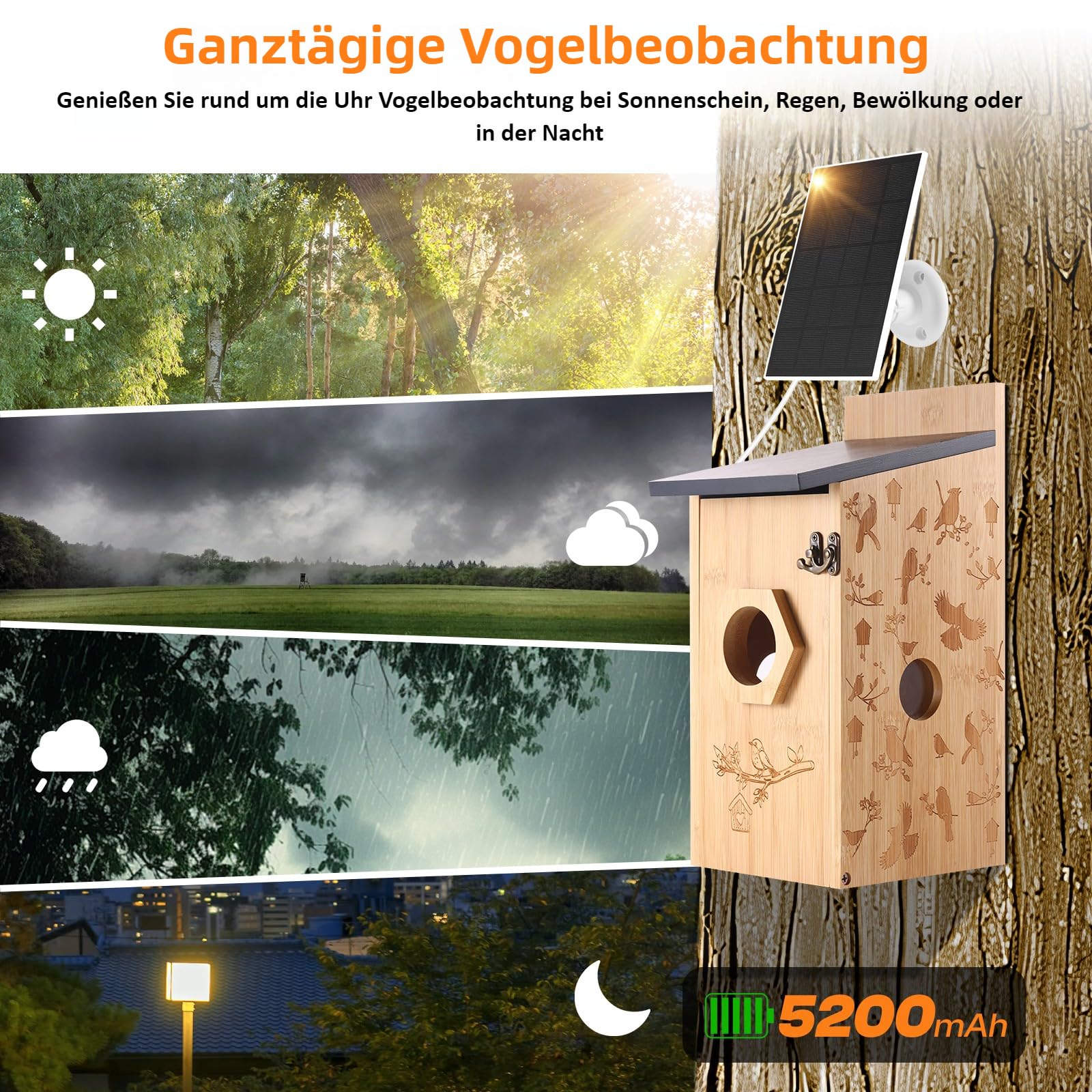 Nistkasten mit 5MP Kamera Solar, Vogelhaus Wetterfest zum Aufhängen, 2,4G WiFi & App Benachrichtigung, Video/Fotoaufnahme & Bewegungserkennung, Beobachten Sie das Nisten und Schlüpfen, Nachtsicht,A
