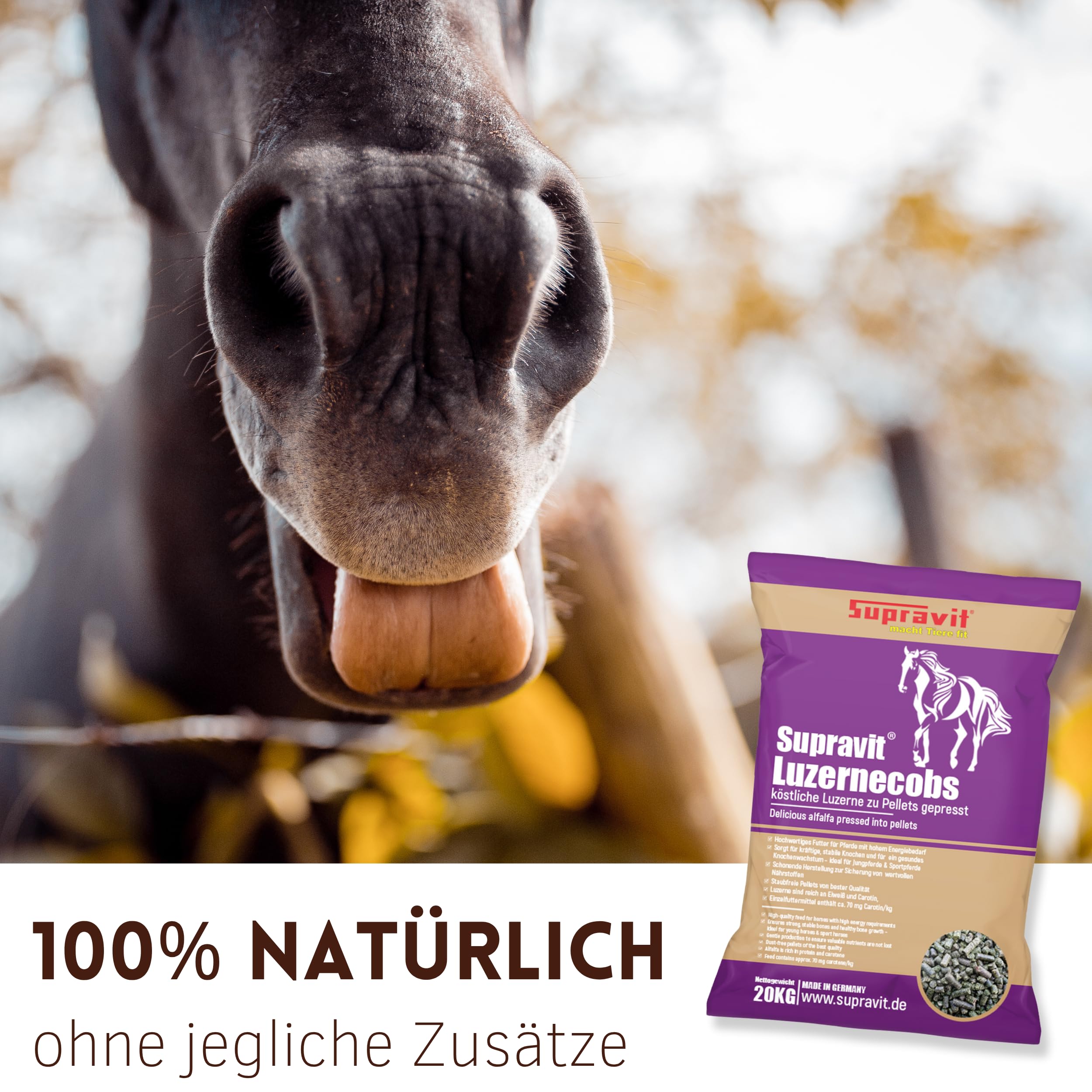 Supravit Luzernecobs 20kg - energiereiches Pferdefutter I Luzernepellets mit hohem Anteil an Carotin I liefert wichtige Mineralien für alle Pferde
