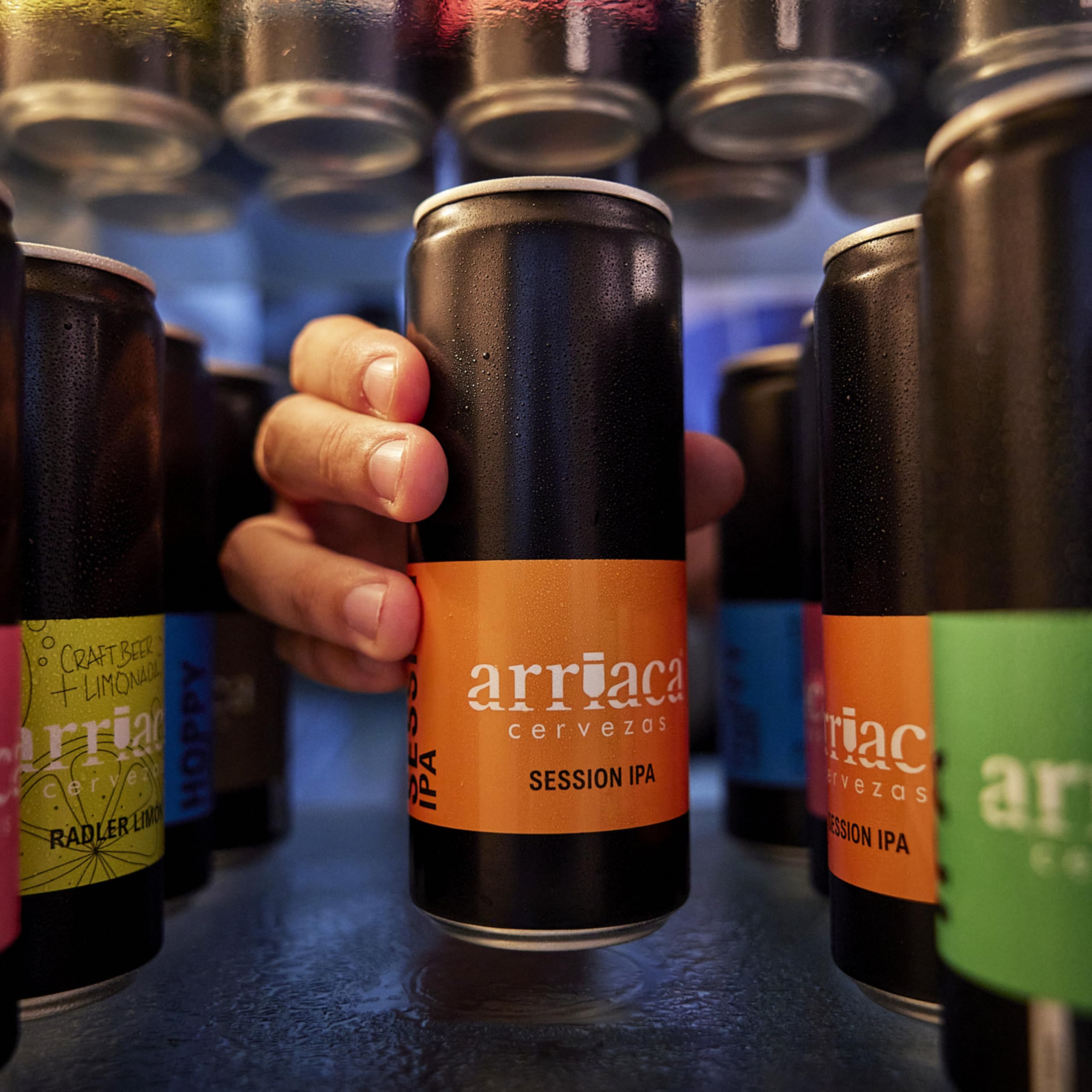 Cerveza Premium Arriaca SESSION IPA en Pack Fabricación Artesanal. Premio internacional a la Mejor Cerveza IPA Artesana (24 latas 33cl)