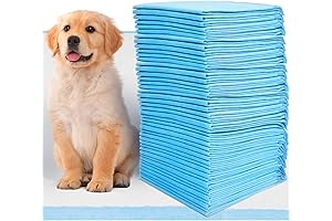 CALPALMY XL Pet Training Pee Pads for Large Dogs (50-Count)
