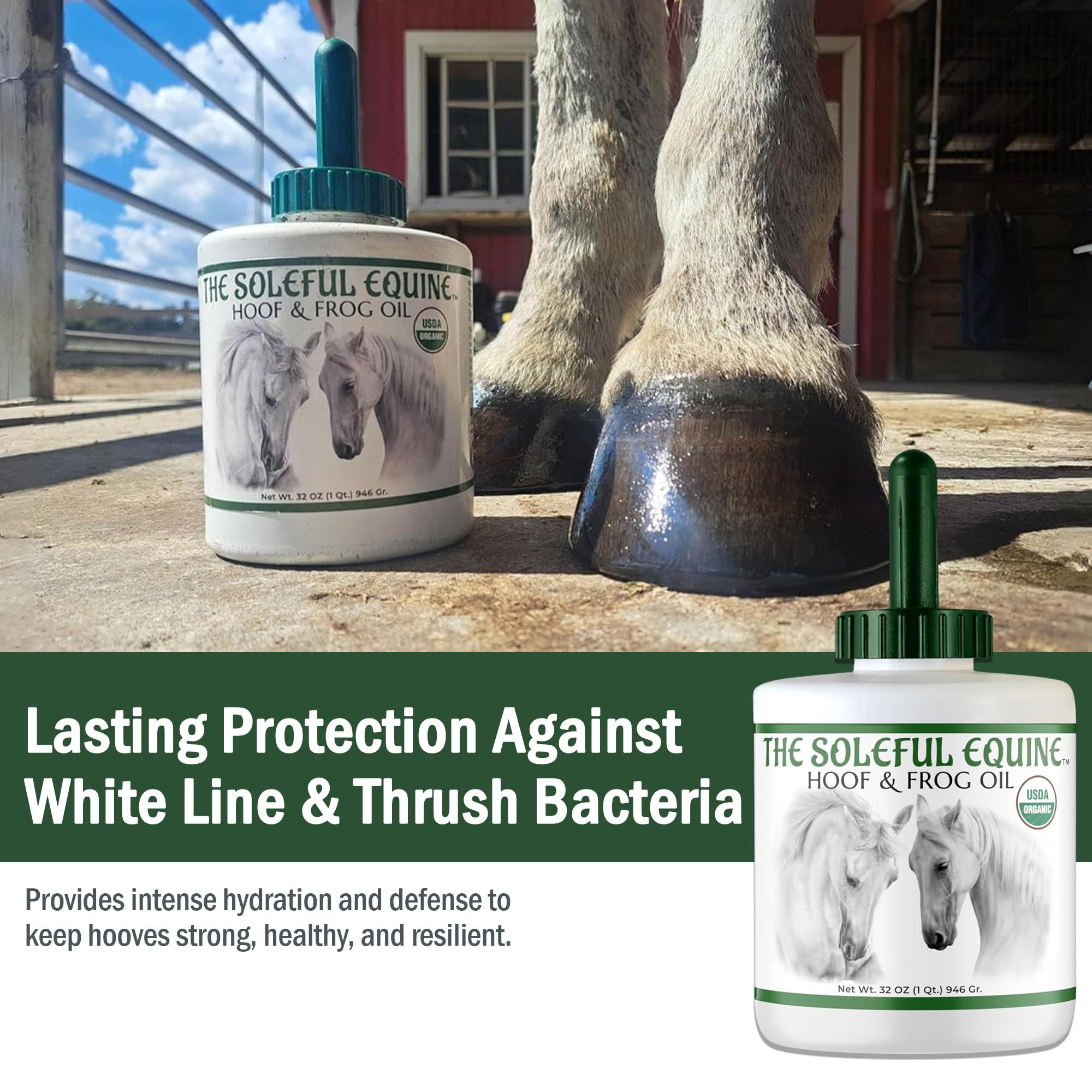 The Soleful Equine Hoof Oil, Horse Hoof White Line, Thrush, Abscesses, Overall Hoof Strength, Growth, Hoof Conditioning Rehydration. Certified Organic - Professionally Designed and Developed - image 2