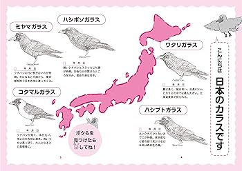眠れなくなるほど面白いカラスの話栄養素の話数と数式の話34冊