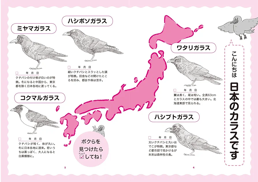 眠れなくなるほど面白いカラスの話　栄養素の話　数と数式の話　34冊 6511505c09e4487c3581bdf9faef53