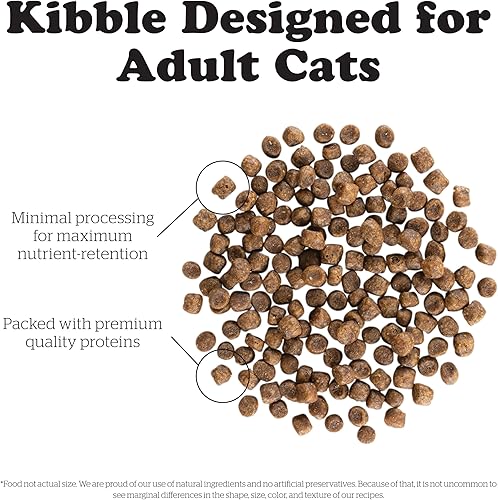 Miniatura 7 de Bundle of Now Fresh - Alimento para gatitos sin granos, 3 libras, receta de comida seca para gatos + alimento para gatos ahora fresco sin granos, 16