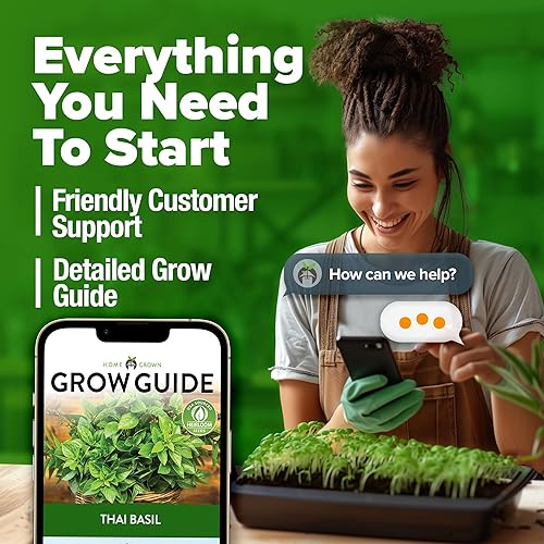 Miniatura 7 de HOME GROWN Paquete de semillas de albahaca tailandesa  876 semillas de hierbas tradicionales de alta germinación para plantar, ideales para cultivar