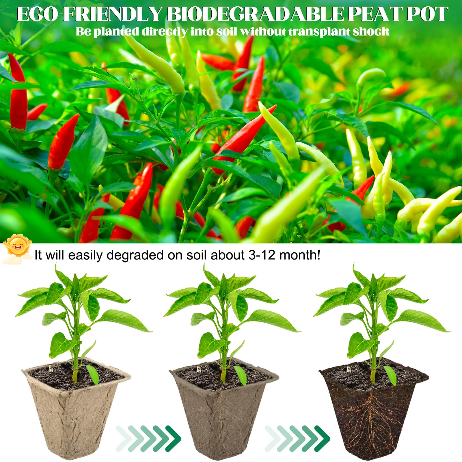 Plateaux de Semis Biodégradables 30 Pièces (10 Alvéoles) – Bacs à Semis Compostables en Fibre de Papier avec Trous de Drainage – Idéal pour Graines, Légumes, Fleurs et Jardinage Écologique