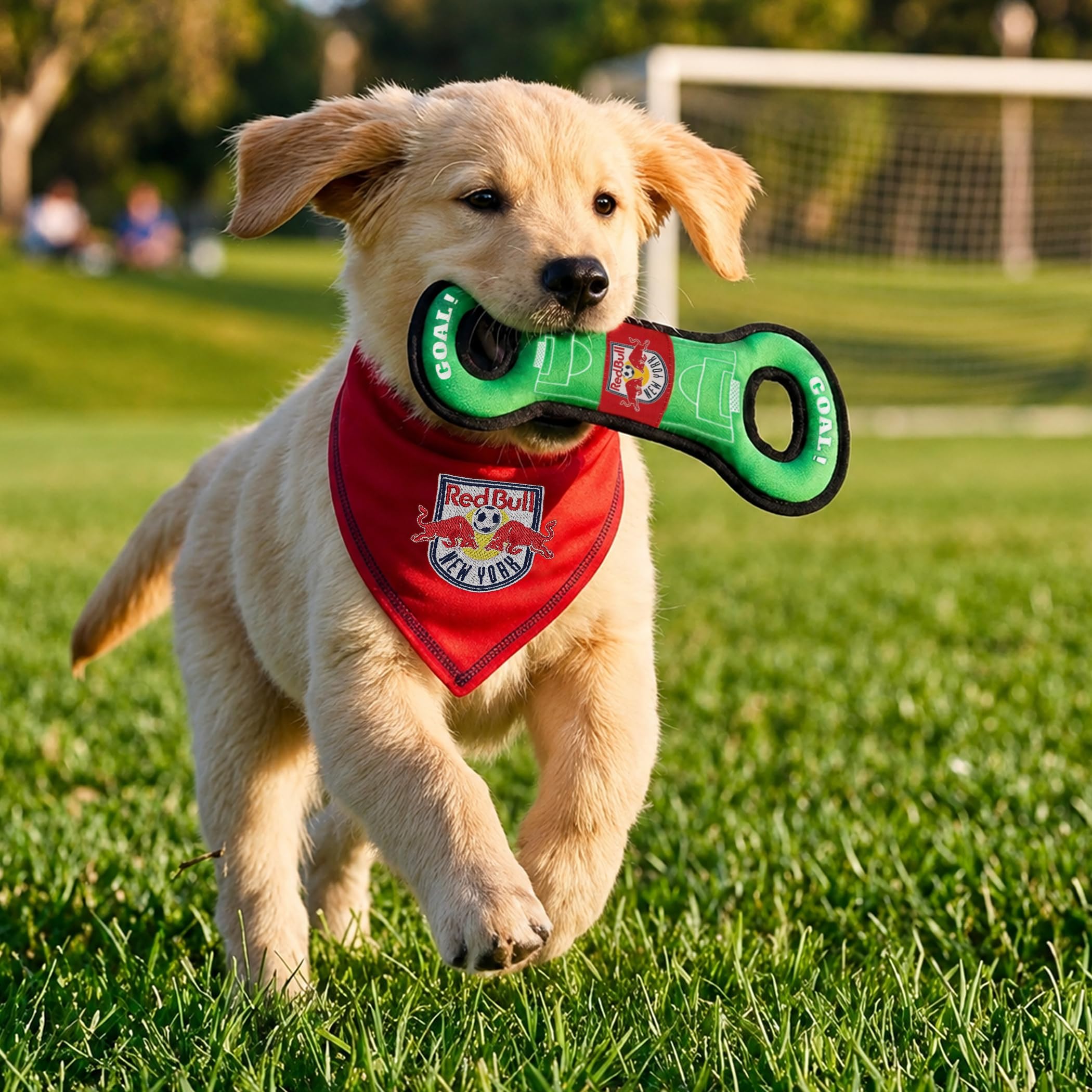 New York Red Bulls Bandana pour Chien Taille L