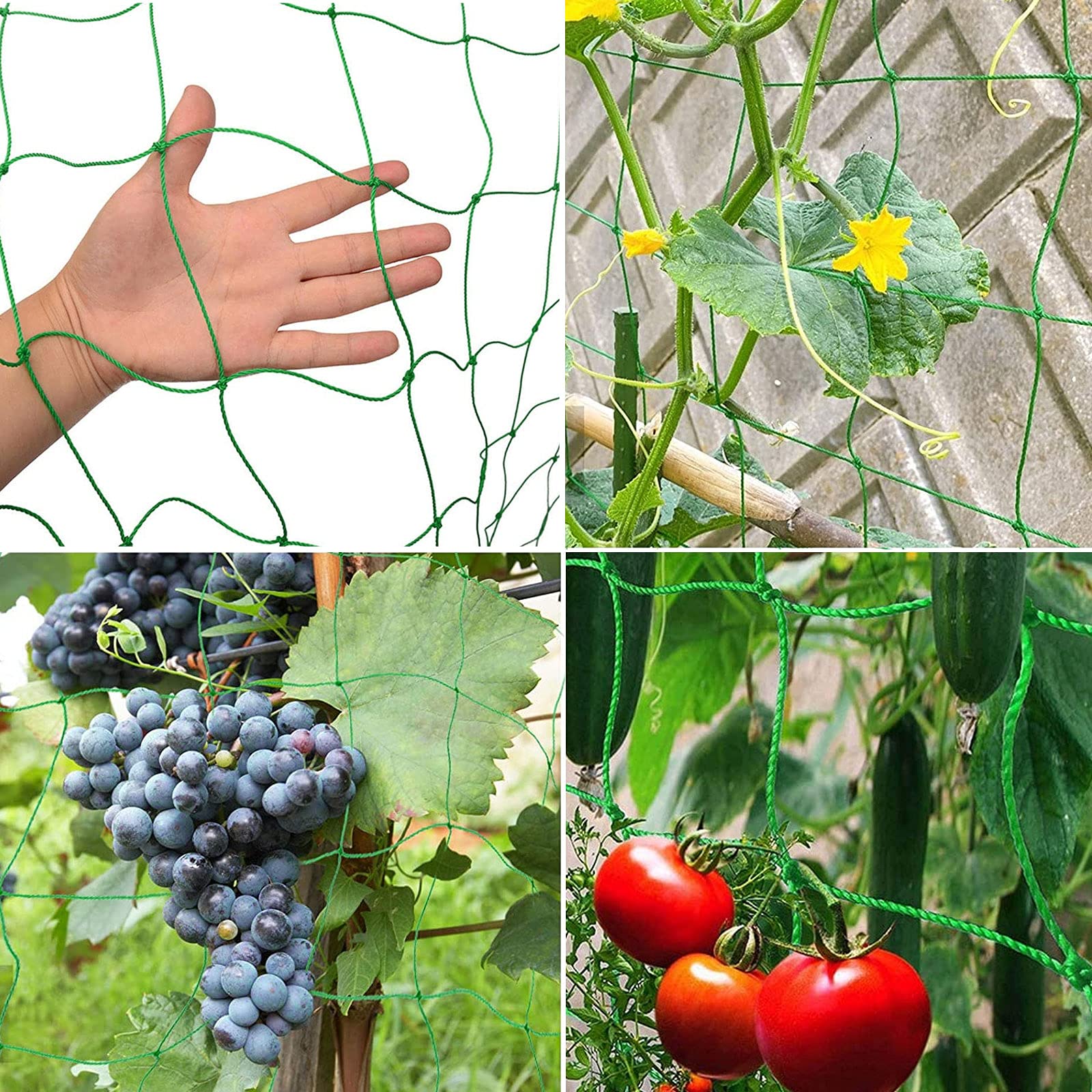 Rete Per Piante Rampicanti 2,5x2 M - Maglia Larga In Polietilene Con 50 Legacci - Supporto Per Cetrioli, Pomodori, Uva, Piselli E Fiori Rampicanti - 2