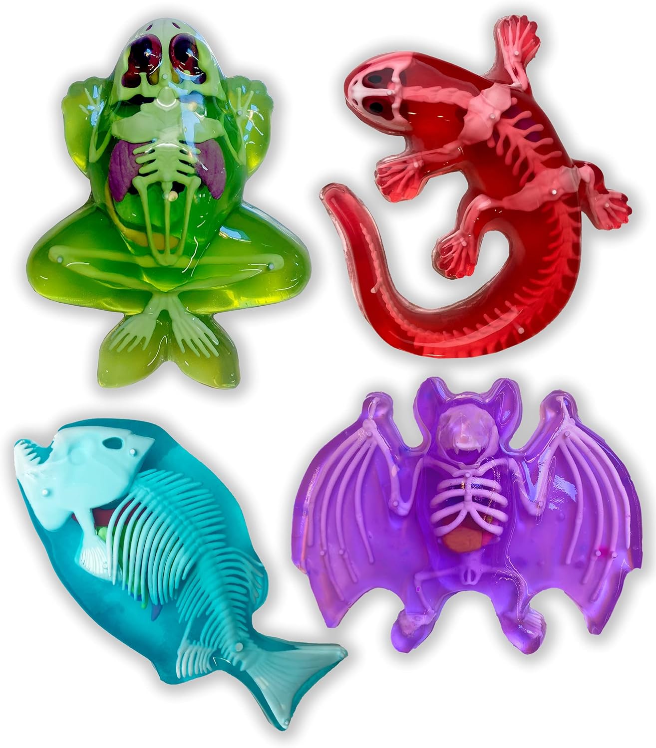 Dissect-It Kit for Kids, Synthetic Dissection Kids Science Kit to Learn Animal Science, Biology, STEM Toys for 6 Year Old and Above