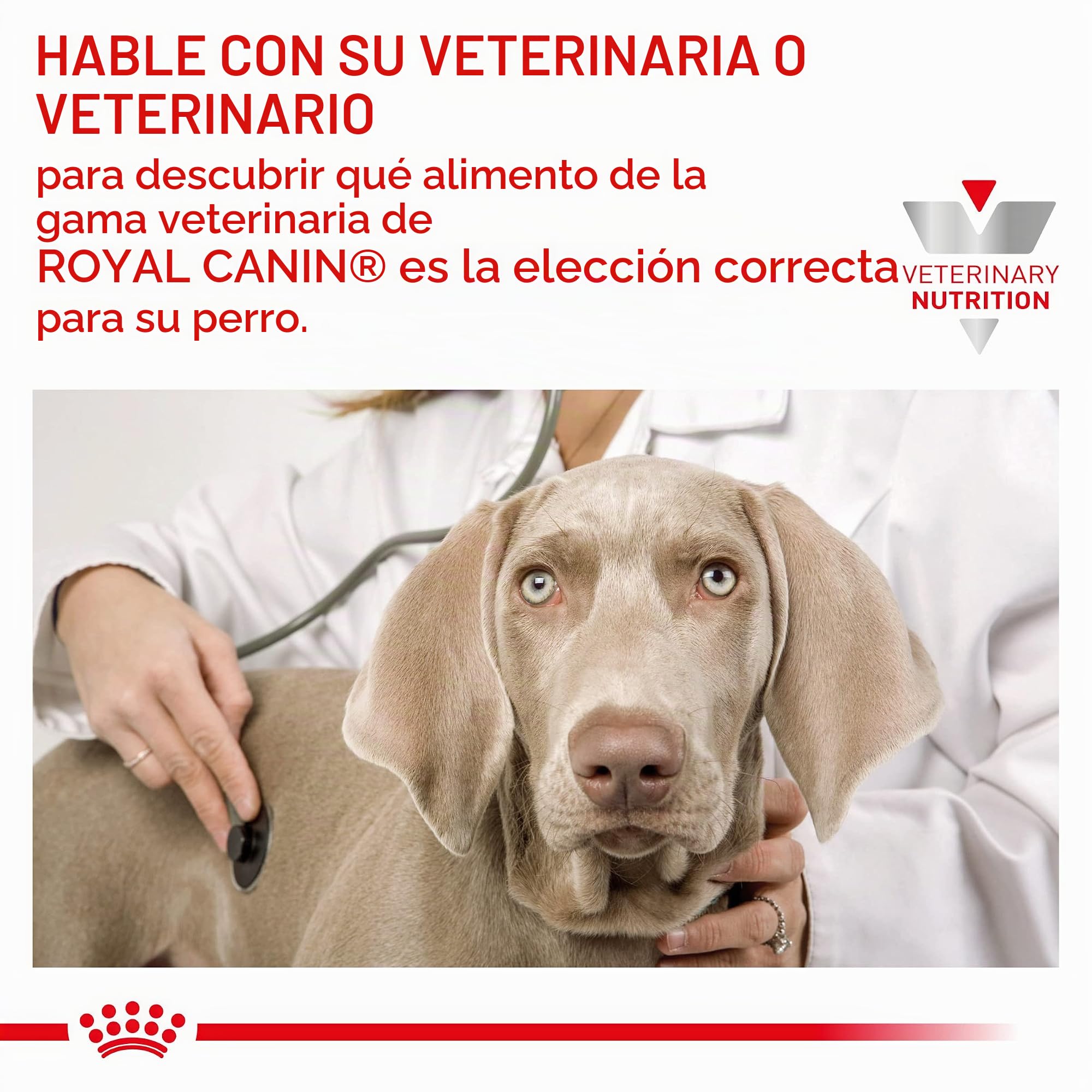 ROYAL CANIN Veterinary Satiety Weight Management | 12 x 410 g | Alimento Completo para Perros Adultos | Puede contribuir a la reducción del sobrepeso | Alto Contenido en proteínas