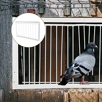 03鳩ページ Amazon | SEWOART 1個 鳩小屋の扉 一方通行の鳥のドア 道鳥 鳩の