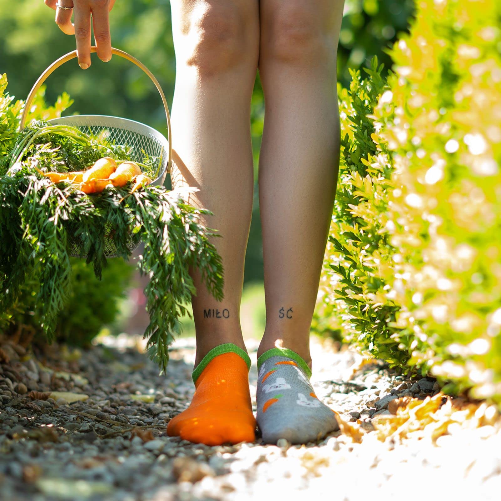 soxoLadies Ankle Socks Trainer Socks Women Cotton Funny Gift Fun Multipack  Cosy PairsOEKO-TEX STANDARD 100