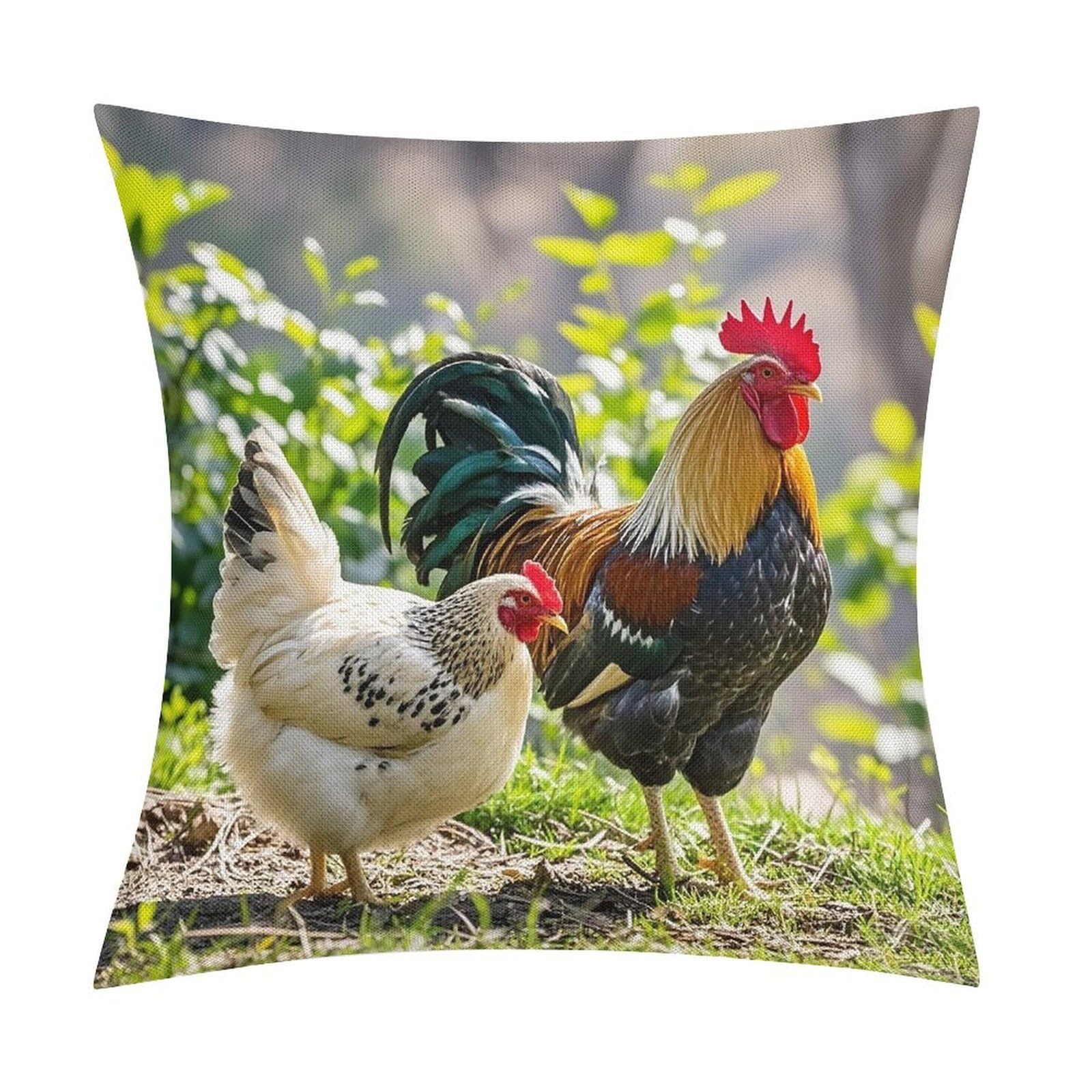 FekiLoot Rooster and Hen Throw Pillow Cover Soft Square Cushion Case Farmhouse Cushion Cover Decorative Pillow Cover Modern Pillowcase for Sofa Living Room Bed Home Decor 18x18 Inch