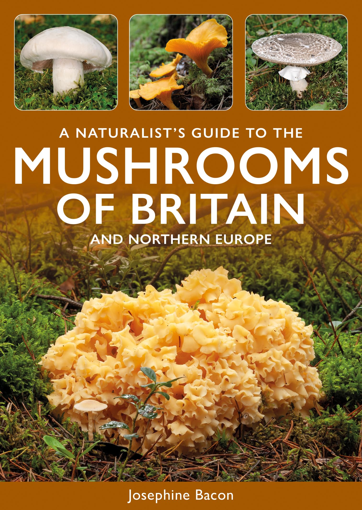A Naturalist's Guide to The Mushrooms of Britian