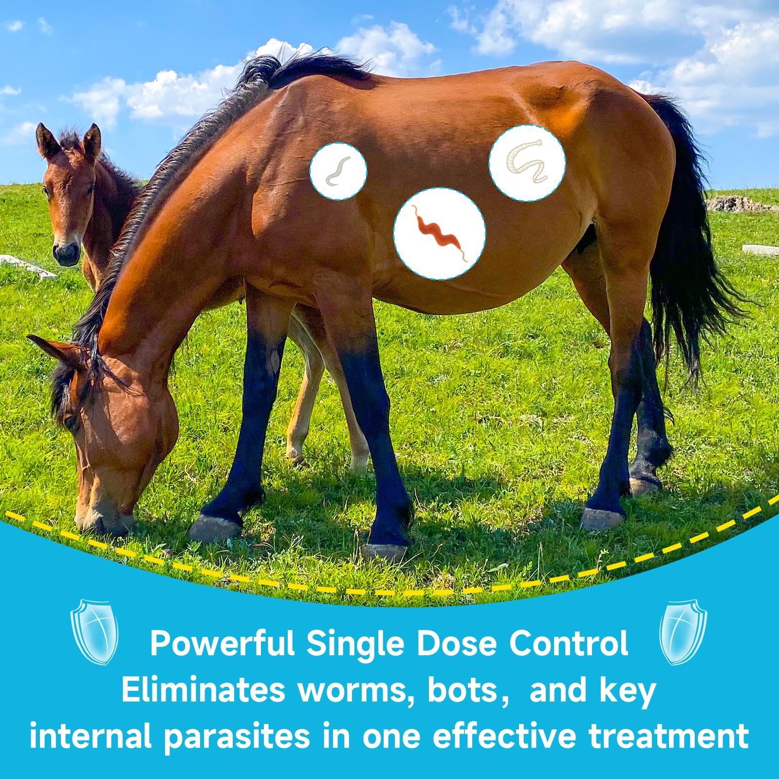 Ivermectin Horse Dewormer Paste, Apple Flavor, 0.21 oz, 6-Pack – Effective Worm Treatment for Horses — view 2