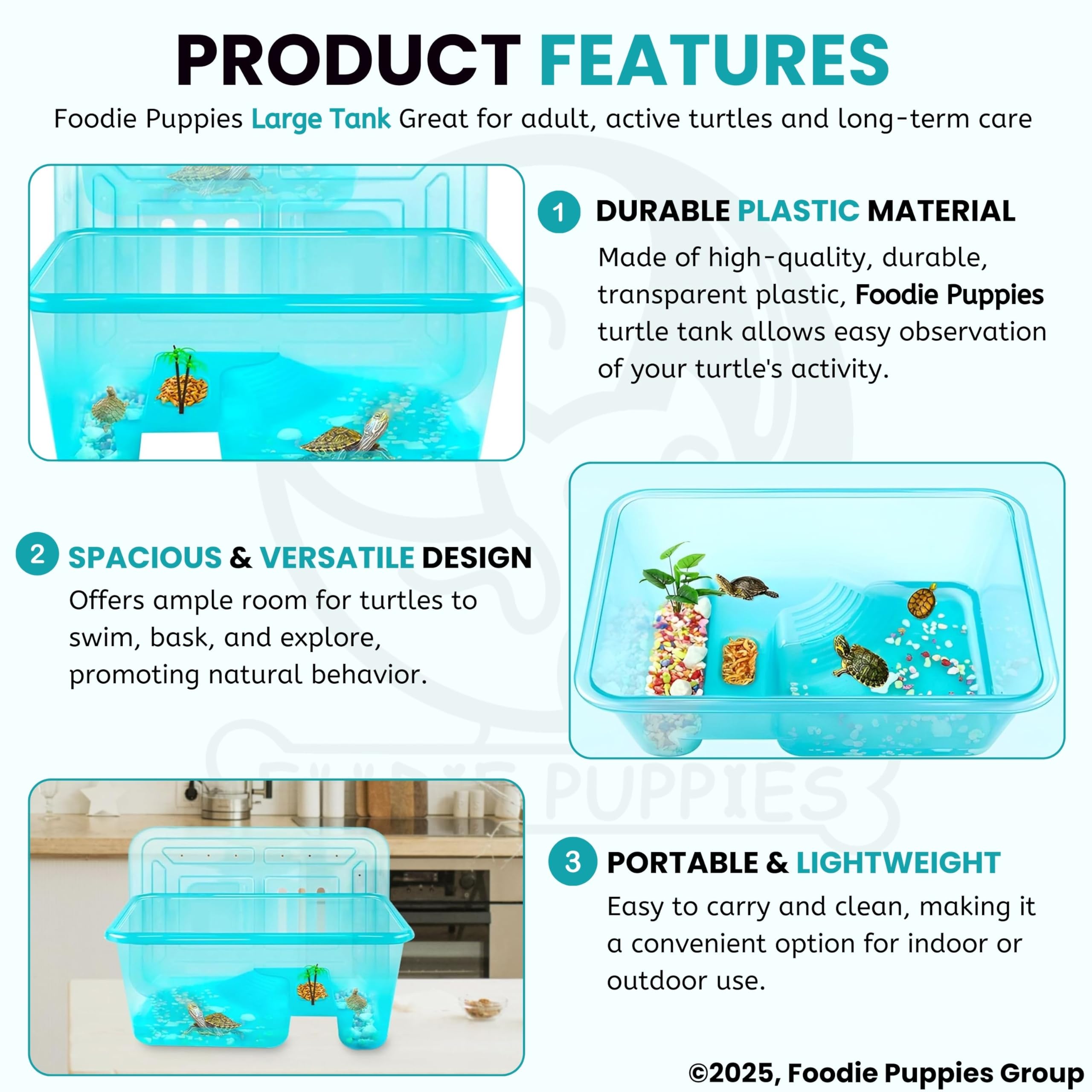 Foodie Puppies Rectangle Turtle Tank Aquarium (Large - 2 FT/24 In Length) with Lid, Ramp | Basking Platform for Turtle Habitat, Reptile Breeding, Safe & Durable with Escape Prevention (No Accessories) 1